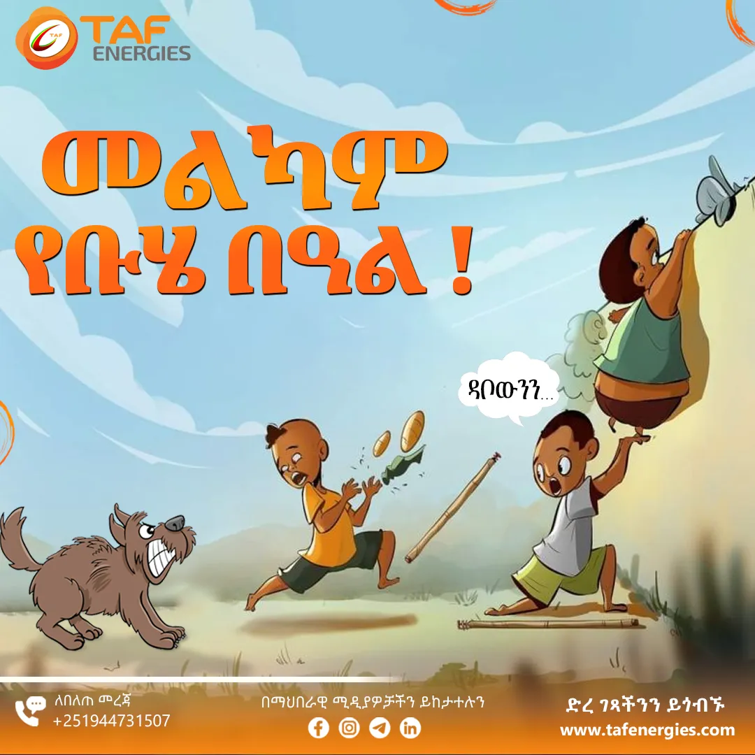 TAF Energies — Buhe campaign